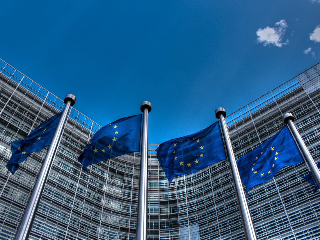 Banderas de varios países de la Unión Europea, en referencia al requisito de nacionalidad para opositar al TAI